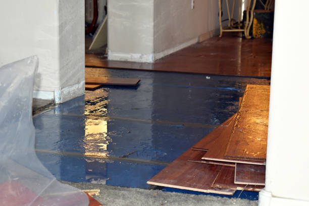 Professional Basement Water Removal technician working in Gladstone, MI